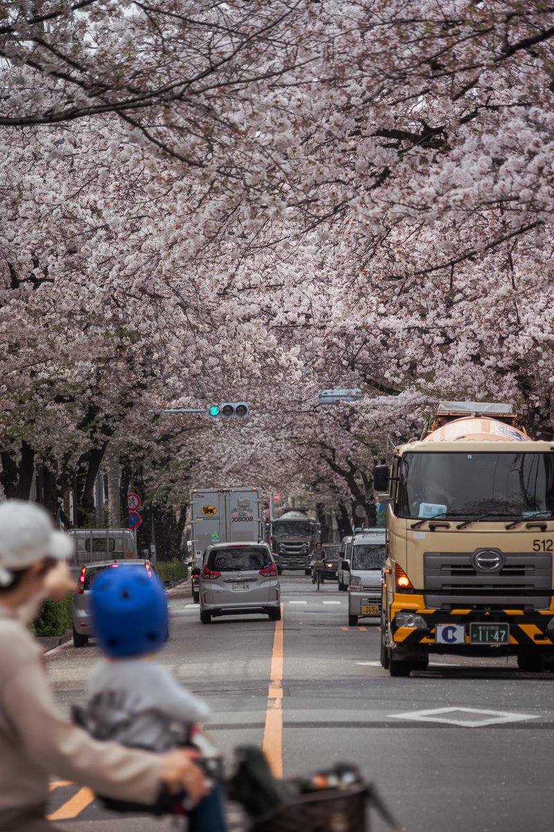 映り込んだ親子が主役だった
