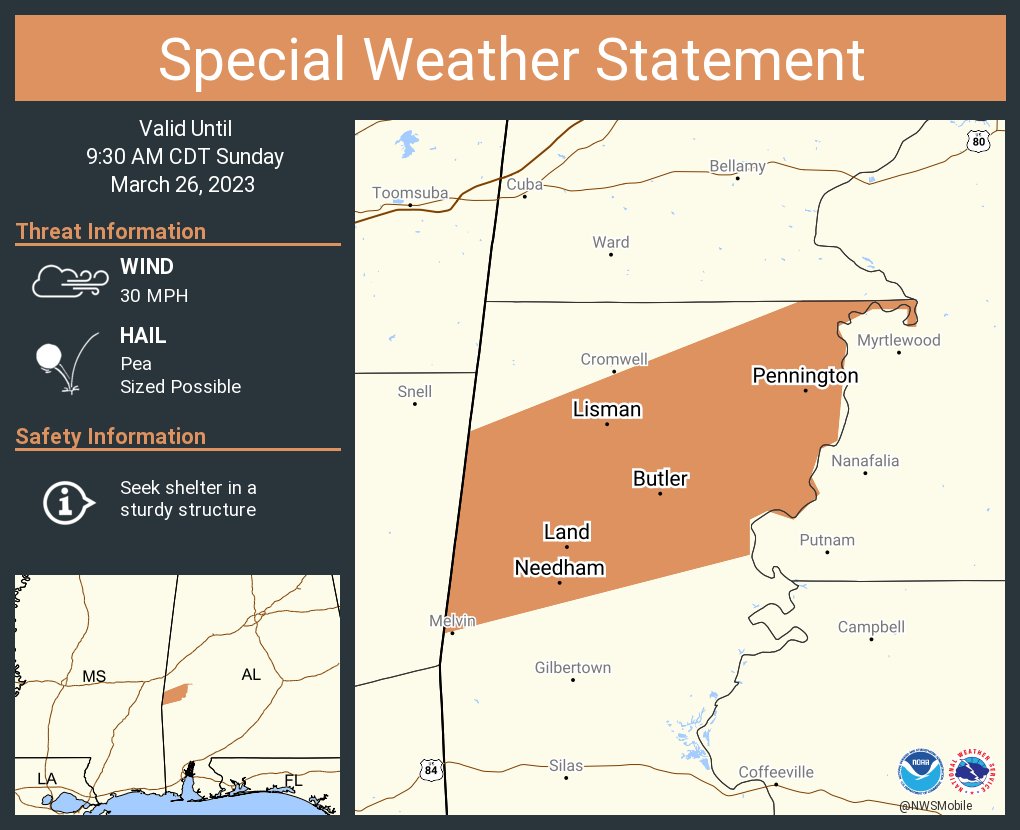 NWSMobile's tweet image. A special weather statement has been issued for Butler AL, Lisman AL and  Pennington AL until 9:30 AM CDT