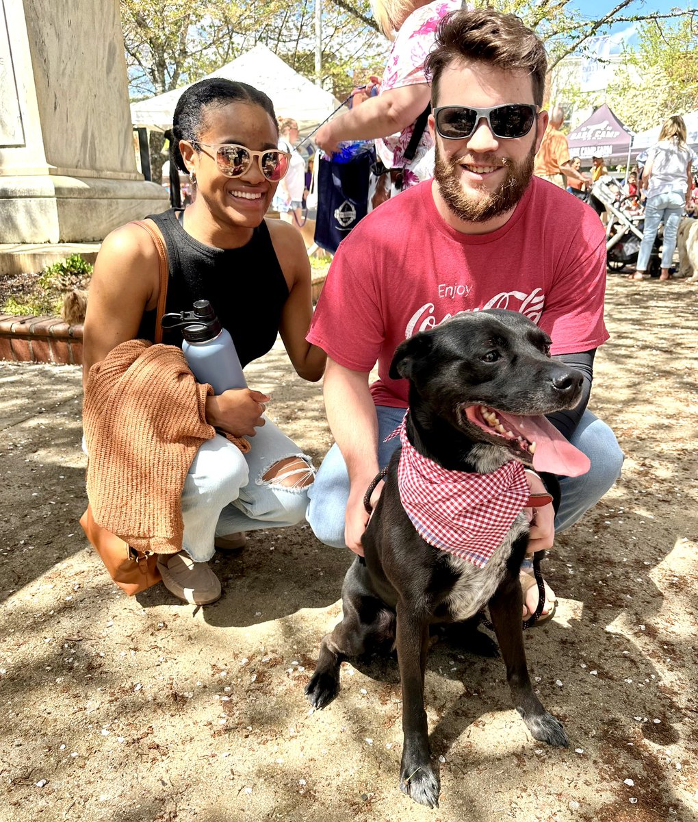 Love getting out in the community!  The Mutts on Main on the downtown Gainesville Square was a success! Check out these cute pups sporting our bandana swags! #gainesvillega #muttsonmain #doglovers #yourlocalrealtor