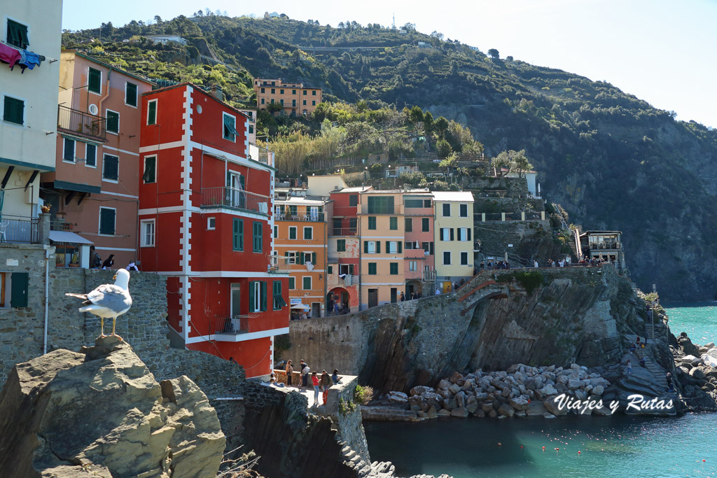 viajes_yrutas's tweet photo. Hoy os contamos cómo recorrer los cinco maravillosos pueblos de Cinque Terre, una zona a la que hay que ir al menos una vez en la vida. 😍
➡️https://t.co/ptKAUOO5dW https://t.co/kEmpwUCerQ
