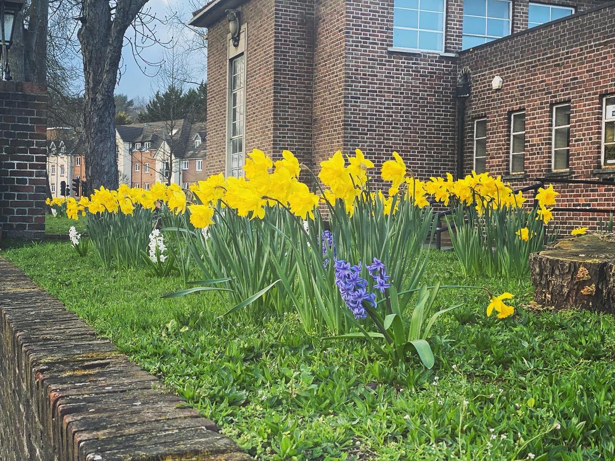 plumtreecoop's tweet photo. Spring is in full swing at Purley Libraryππ·βοΈ
Time to enjoy it nowππ»
#purleylibrary #localcommunities #coopworld #spring https://t.co/bJGDQdWPw3