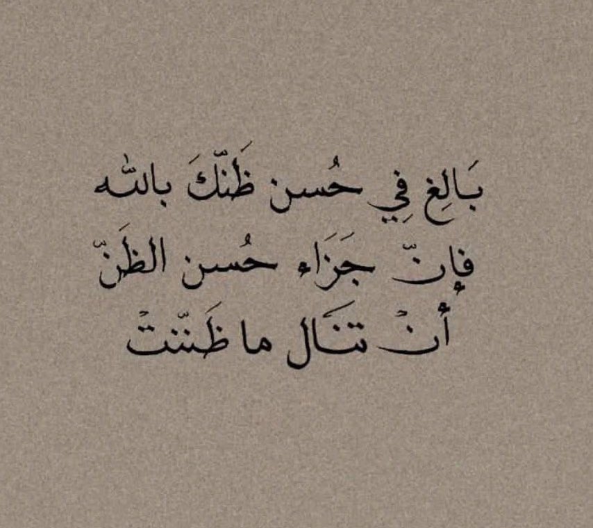 sh_4a4's tweet photo. https://t.co/MeBXzcketf
