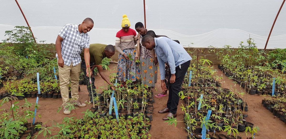 Samar Sheat, Ph.D.🌿 tweet media