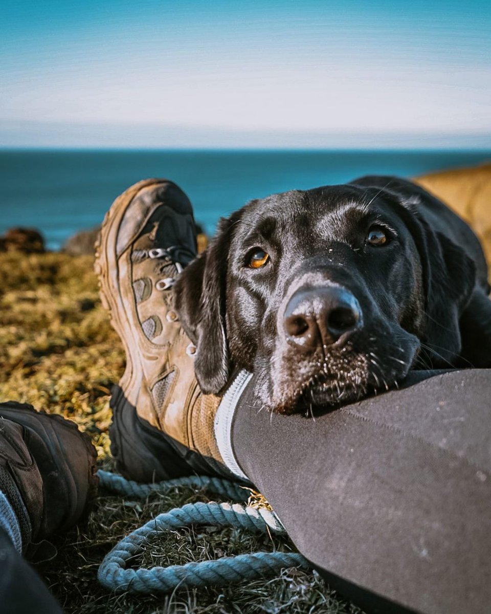 Longer days = more moments like this 😍

📸 @ mabel_thelab