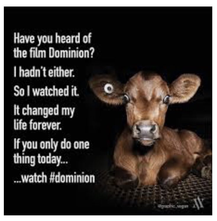 S_Catsgotmyback's tweet image. Sure, right after you watchdominion.com 

#GlobalMessage #AgGagLaws #JoaquinPhoenix #Speciesism