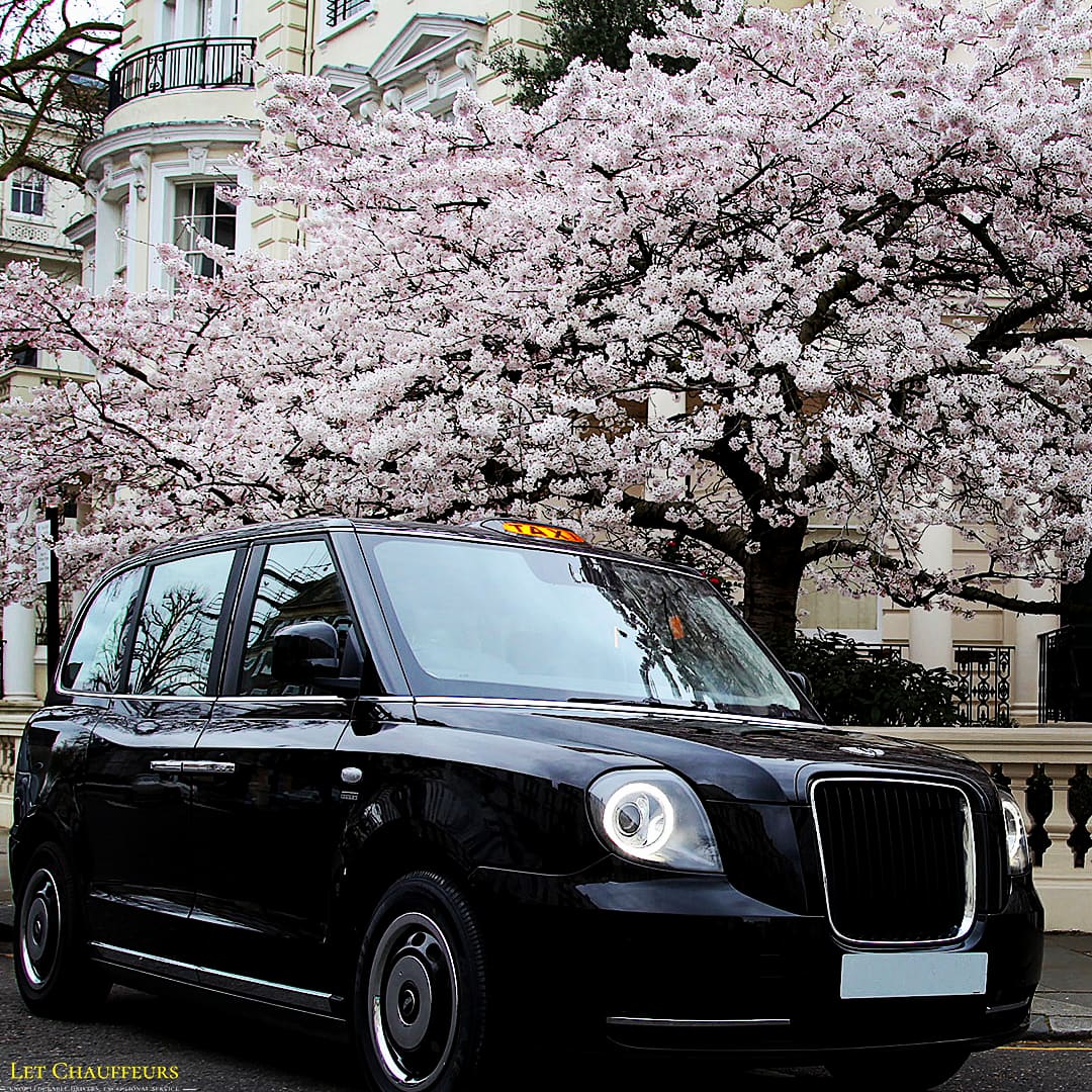 LETChauffeurs's tweet photo. Springtime 🌸

#LondonElectricTaxi
#chauffeur #bloom #blossom #spring #blossomtree #taxi #blackcab #electrictaxi #london #londres #nottinghill #لندن  #LondonHotel #ロンドン  #privatedriver #privatetaxi https://t.co/0AKIYPImdP