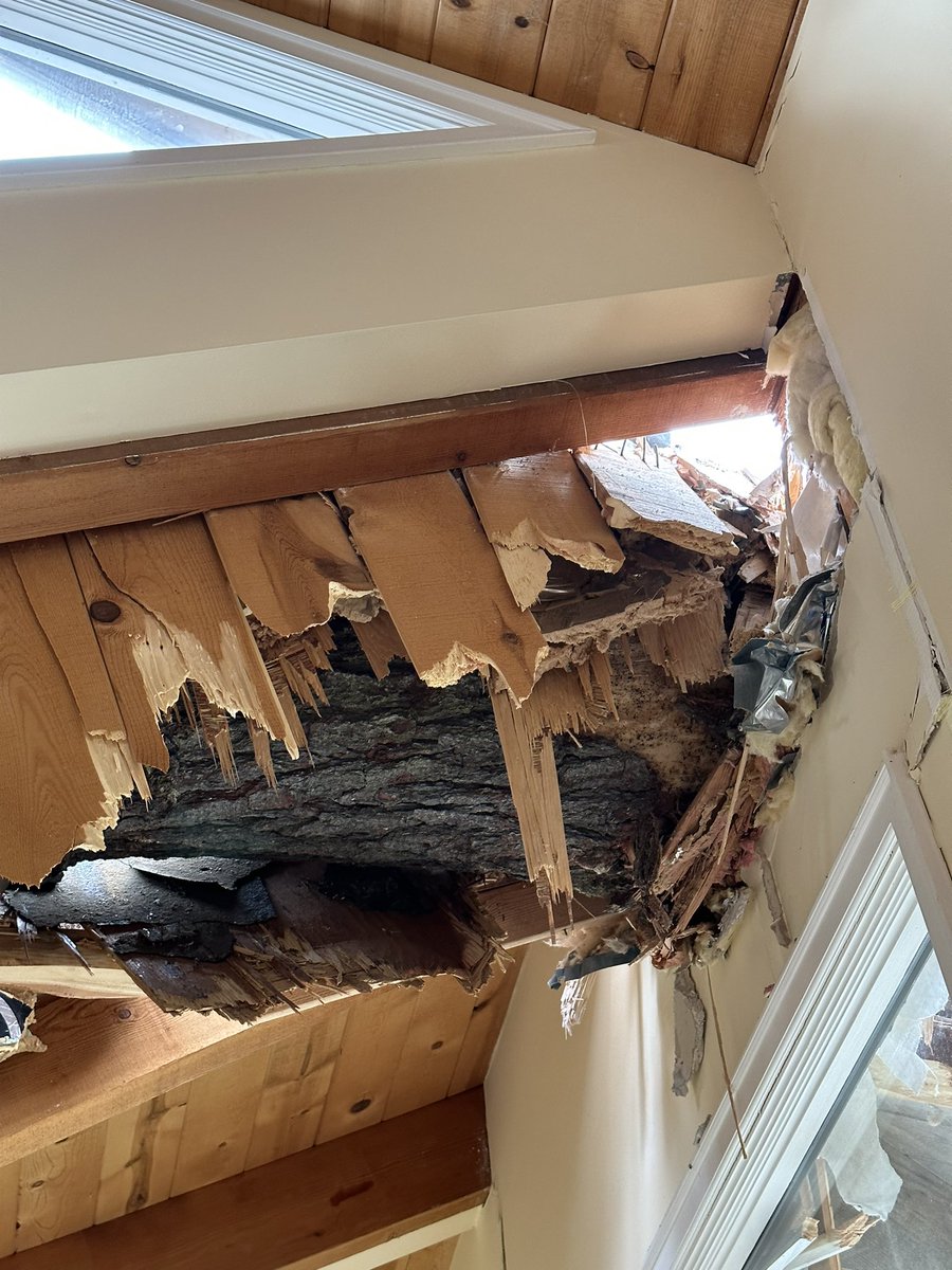 This was 12 days ago. The insurance adjuster still hasn’t shown up. I now know why #insurance companies get such a bad rap. They earn it. 35 years as a homeowner and this is our first claim.