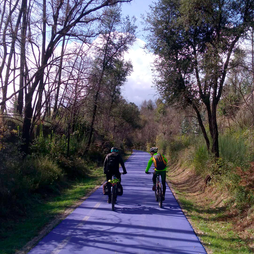 Infra_PT's tweet photo. A Primavera chegou e os dias estão mais longos🌼

Como esta é uma altura perfeita para planear um passeio especial, a @Infra_PT desafia-o a percorrer as nossas #Ecopistas. 🌷🚴‍♂️

Mais info: https://t.co/xBqfsM2B8u

#Infraestruturasdeportugal #Primavera https://t.co/9Onhk6c65y