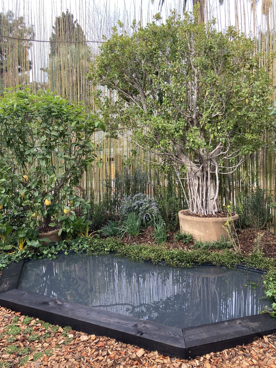 LesEntDuPaysage's tweet photo. Le prix du jury professionnel est remis au jardin Entre-Là d’Hélène Pépin Pépin Paysage - L’Oseraie du Possible vannerie - Kim Cao Artiste #Festivaljardins06 @VilledeNice https://t.co/kQnCqs36Gh