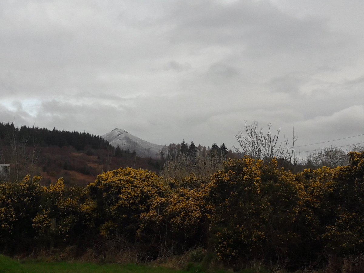 PalyAlly's tweet photo. Arran landscape a quiet contrast to intense workshop discussion about risk management, community & cultural heritage #sharedislandstories https://t.co/xvvW5ll0qm