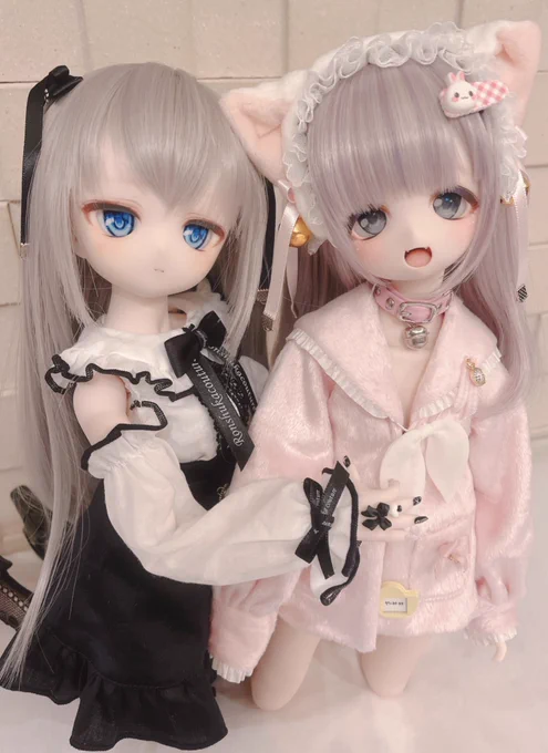 本日(  ˃ ᵕ ˂  )かわいい摂取 
