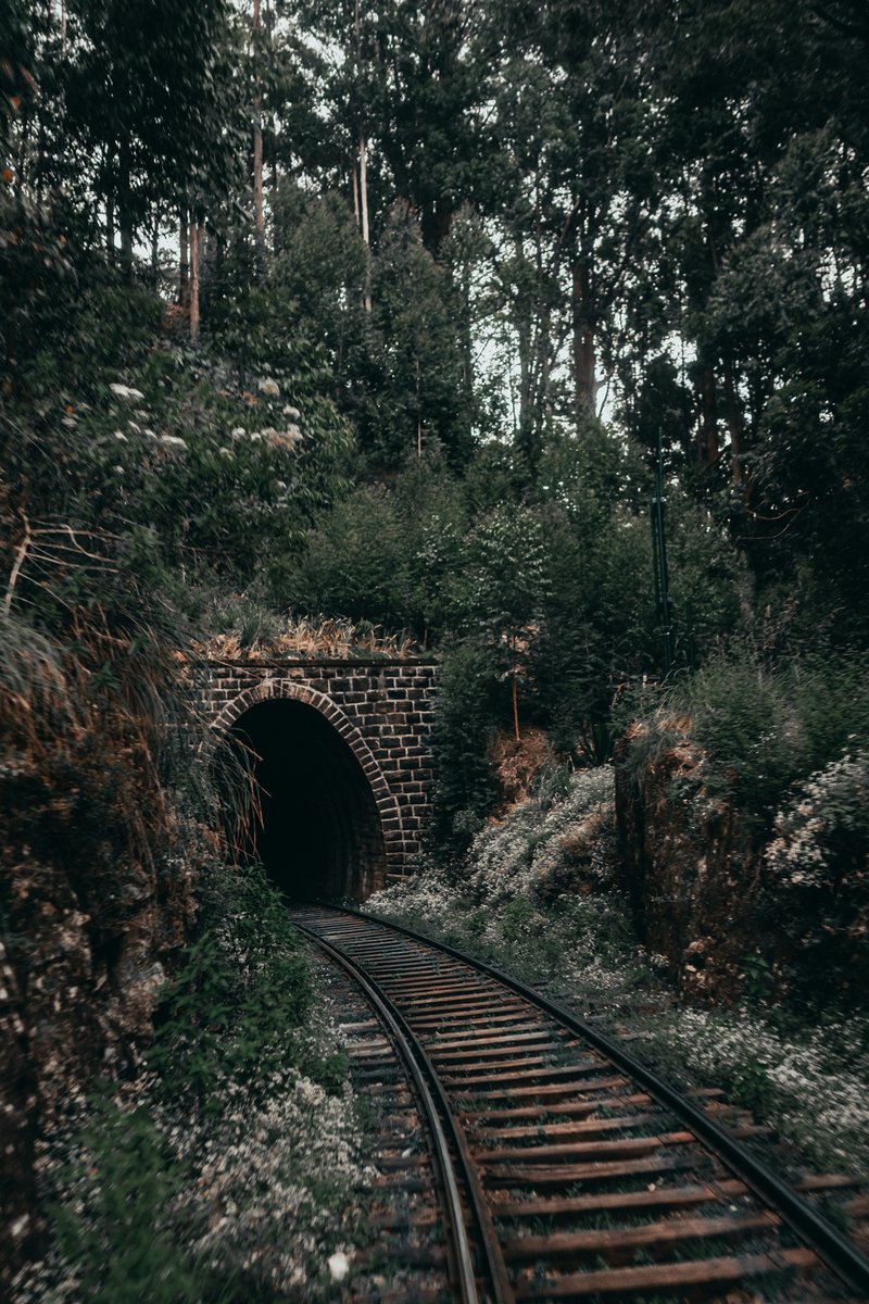 denbych's tweet photo. One of the prettiest railroad routes in the world is located in Sri Lanka! https://t.co/lBQvDF12Hg