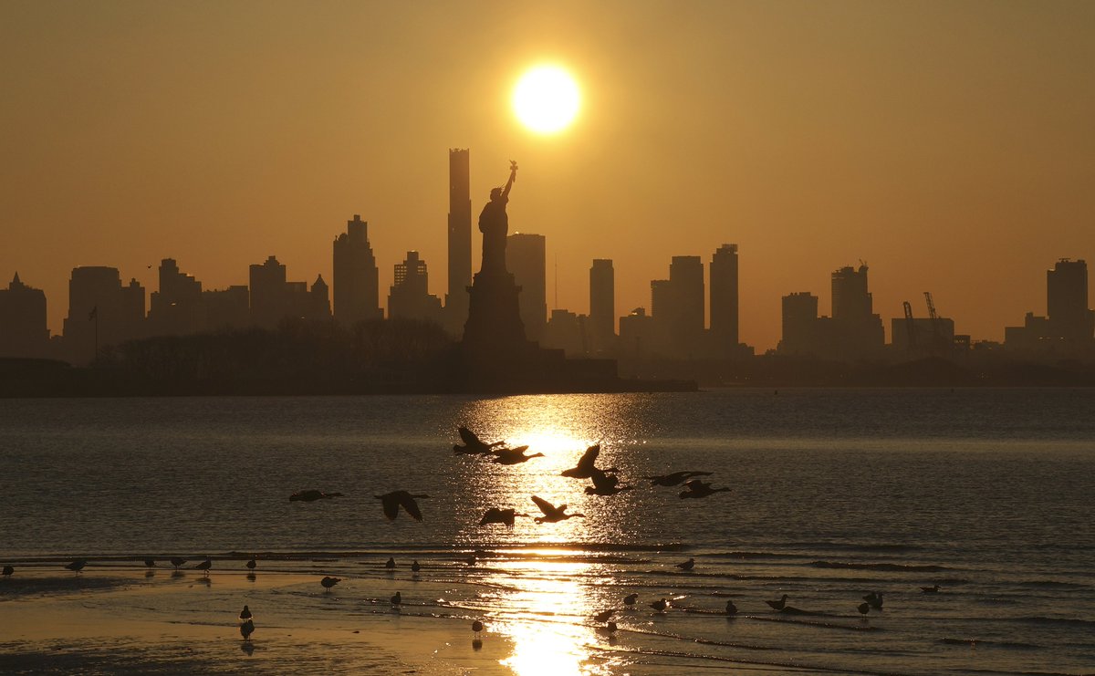 GaryHershorn's tweet photo. Sunrise in the New York City harbor with a lot of birds and geese in front of the Statue of Liberty and lower Manhattan, Sunday morning #NYC #newyork #NewYorkCity #sunrise @agreatbigcity @statueellisnps https://t.co/lunp5bwn3J