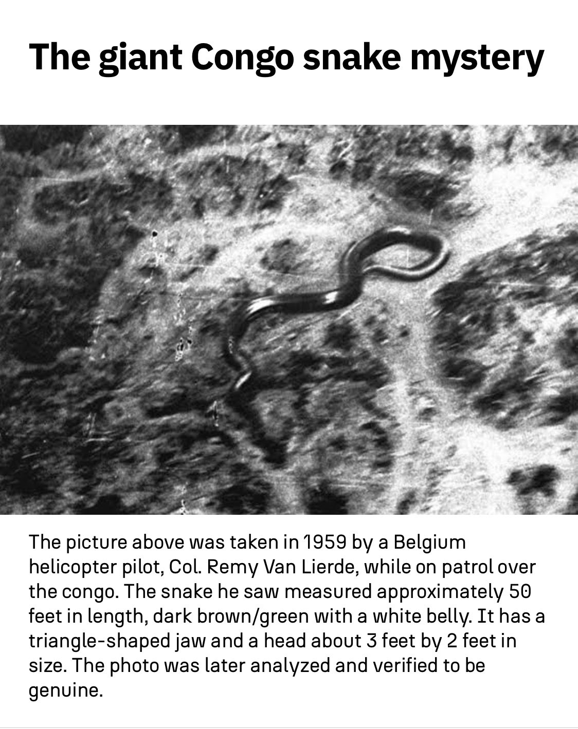 CRYPTIDS UK 👣🦕 on Twitter "FightHaven The video is obviously fake but