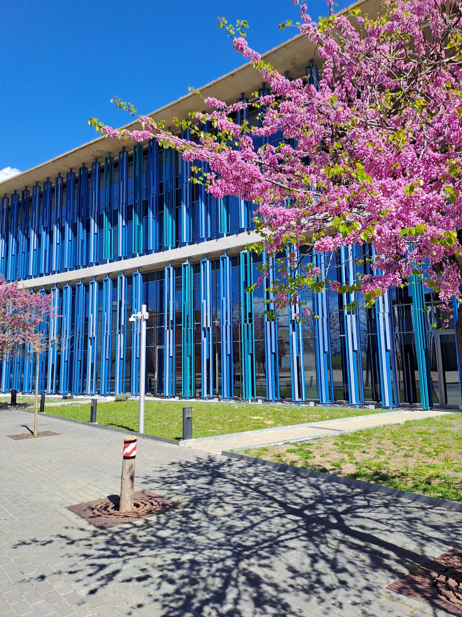 Ya es Primavera en... los juzgados de #Zaragoza