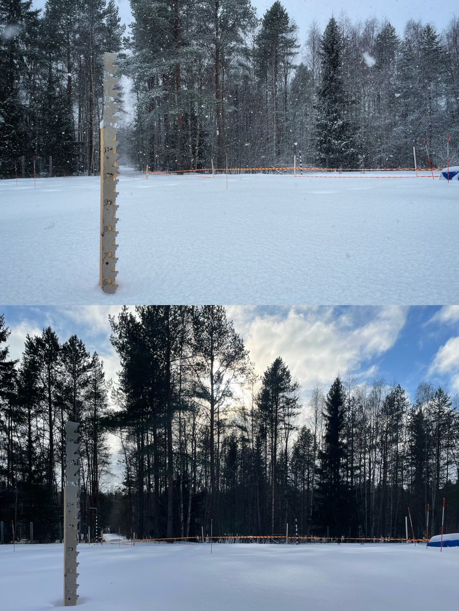 ZSN_Chen's tweet photo. My first winter at @UniOulu is about to end, 🧐 accompanied by #SNOMLT’s 🩺🧪 distinct #snow sampling equipment.

Bird songs haven't woken up #boreal #trees 🌲 targeted by #BoTWU, but 📢:
1) ❄️ maximum snow depth in #Oulu any day now
2) 💦 prepare for snow melt

We are ready 🦾 https://t.co/4ZPvE4d94n