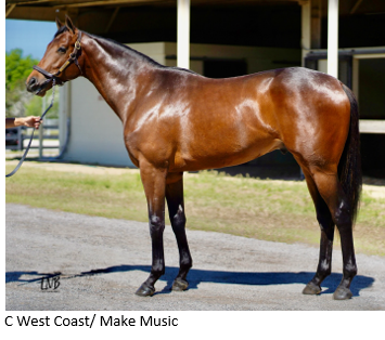 Kathie Roller-Stell tweet media