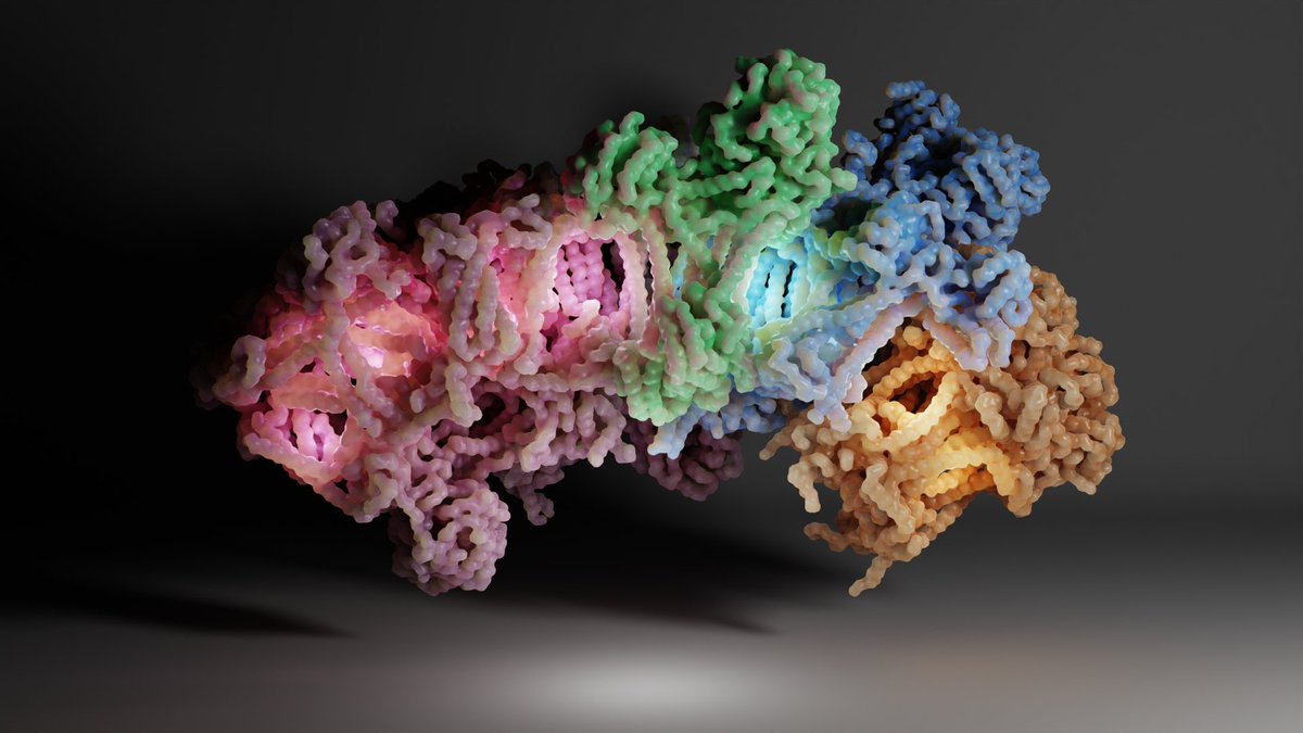 OutiHaapanen's tweet photo. In January I started playing with Blender and here is my first take on the respiratory supercomplex! I used #Molecularnodes by @bradyajohnston to make the representations and was delighted to see it works beautifully with coarse grained data too! #sciart #blender #b3d https://t.co/JuncE6NjZs