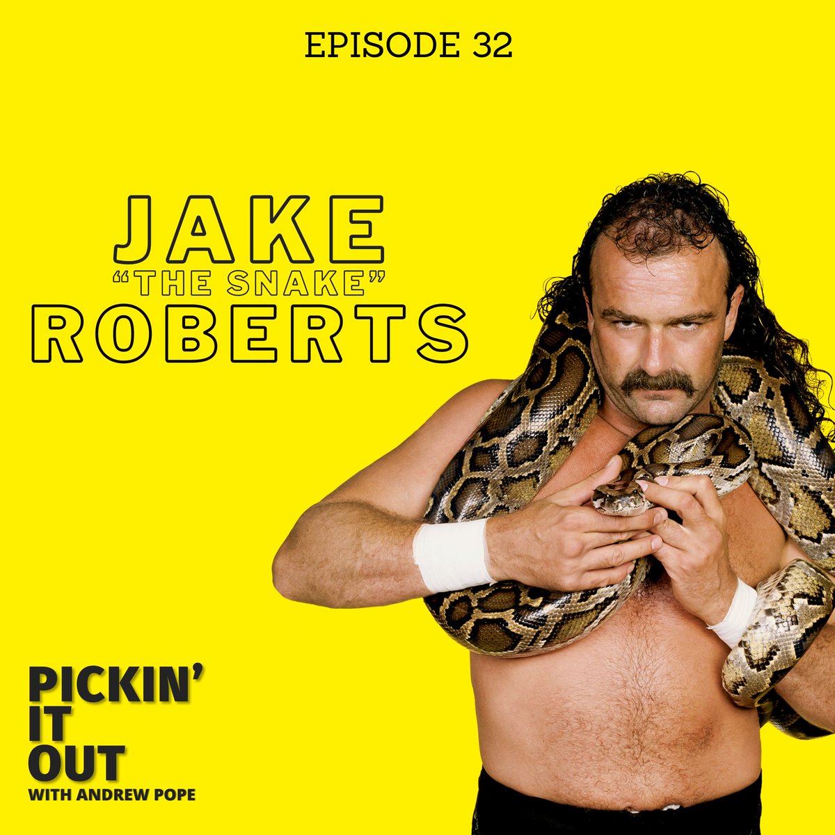 TheAndrewPope's tweet photo. this week, honored to be @PickinItOut with the one and only @JakeSnakeDDT. 

FULL EPISODE: https://t.co/Sjw59Jyfye

DOWNLOAD, RATE &amp; REVIEW: https://t.co/wtnxTy73Ec https://t.co/Ejon23QW0J