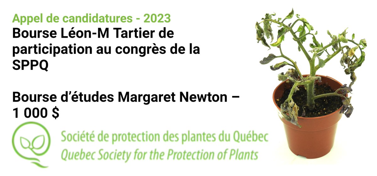 Des bourses sont disponibles pour les étudiants gradués de la SPPQ! Postulez avant le 4 juin 2023 pour la bourse Margaret Newton et la bourse Léon-M Tartier, d’une valeur respective de 1 000 $ et 250 $. Pour voir les détails et poser sa candidature : sppq.qc.ca/fr/bourse-etud…
