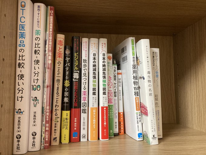 本日買った本(Dr.STONE除く)と分子模型。しおり対象のは26冊買ってるので16ユニット全部+10ユニットはもう一枚