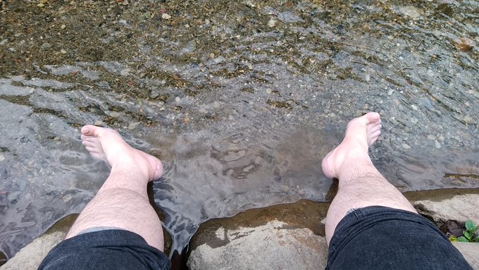 それはそれとして泳ぎたい 