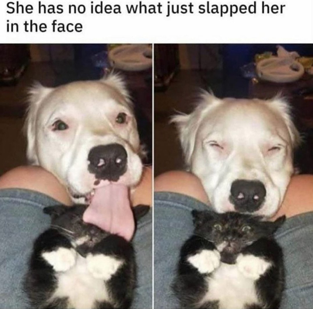 FsJyOiHXsAEmWUT?format=jpg&name=medium