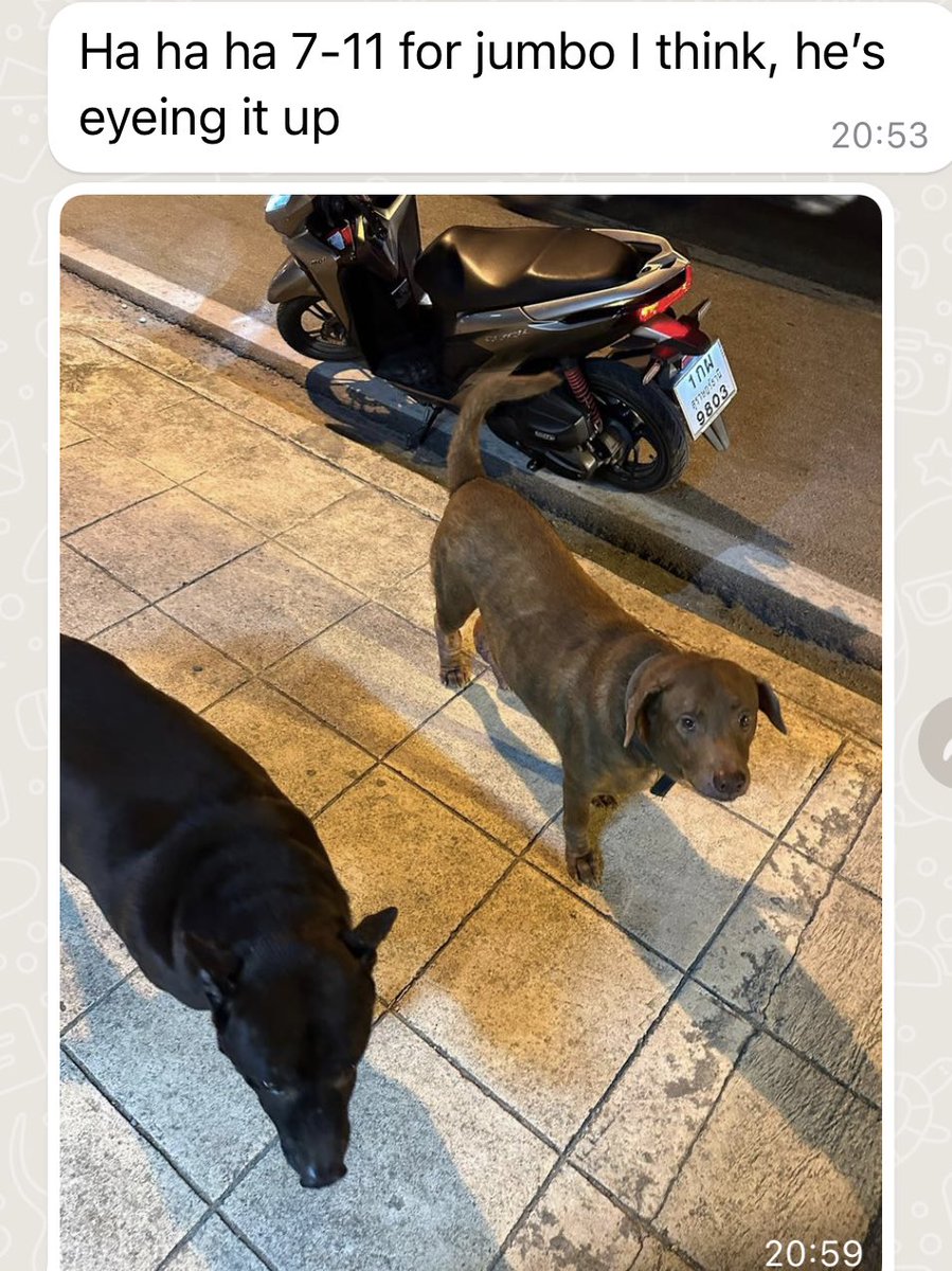 Niall Harbison tweet media