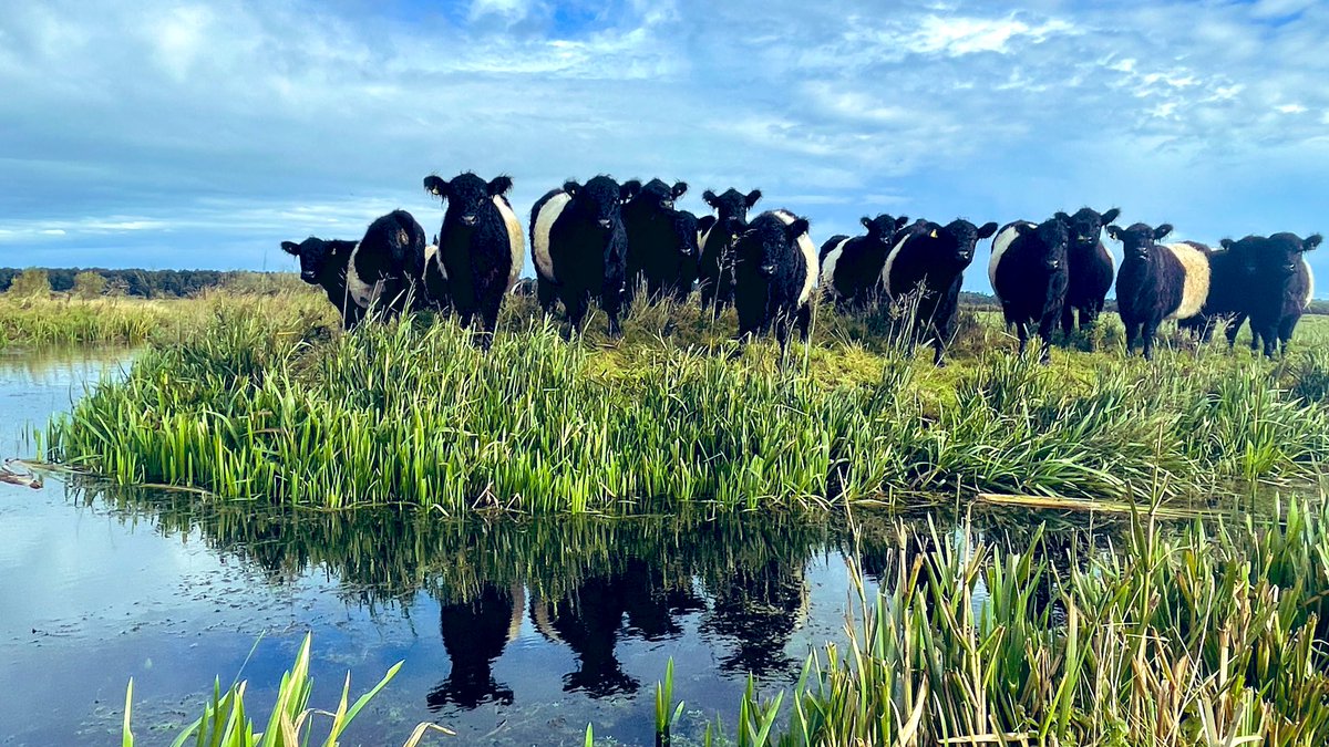 Jake Fiennes (@jake_fiennes) on Twitter photo 2023-03-26 20:04:07 In the words of Sir David Attenborough “For grasslands to be rich and diverse, they have to be grazed” #WildIsles In the words of Sir David Attenborough “For grasslands to be rich and diverse, they have to be grazed” #WildIsles