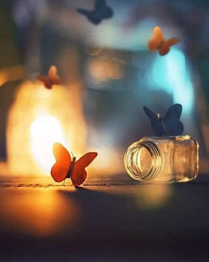 ماذا لو كان القلب الذي كسرته يحبّه الله؟
ماذا لو نمتَ أنتَ واستيقظ هو وقال
"اللهم إنّي مغلوب فانتصر
فاحذر أن تؤذي روحاً لا تستطيع دفع أذاكإلا بأنين لا يسمعه إلا الله
فاللهم عبوراً خفيفاً لا نُؤذي ولا نُؤذَى
لا نَجرح ولا نُجرَح لا نهين ولا نُهان
ولا نشقي يارب