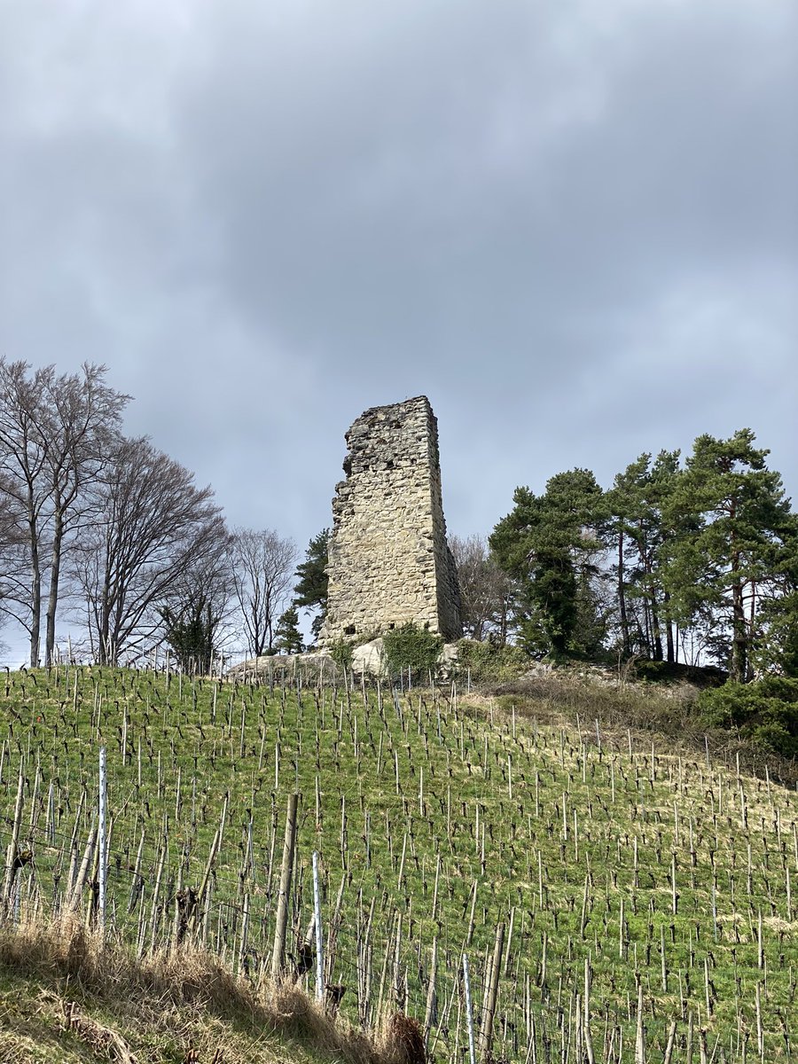 Burgruine #Grimmenstein, #StMargrethen #Rheintal #History 🏰 #burgen