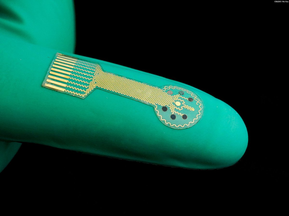 ScienceMagazine's tweet photo. Researchers in @ScienceAdvances have developed a new stretchable wireless bioelectronic device that can be worn to monitor and heal chronic wounds. https://t.co/bZGn3pZtvo https://t.co/cHcIoVCWZd