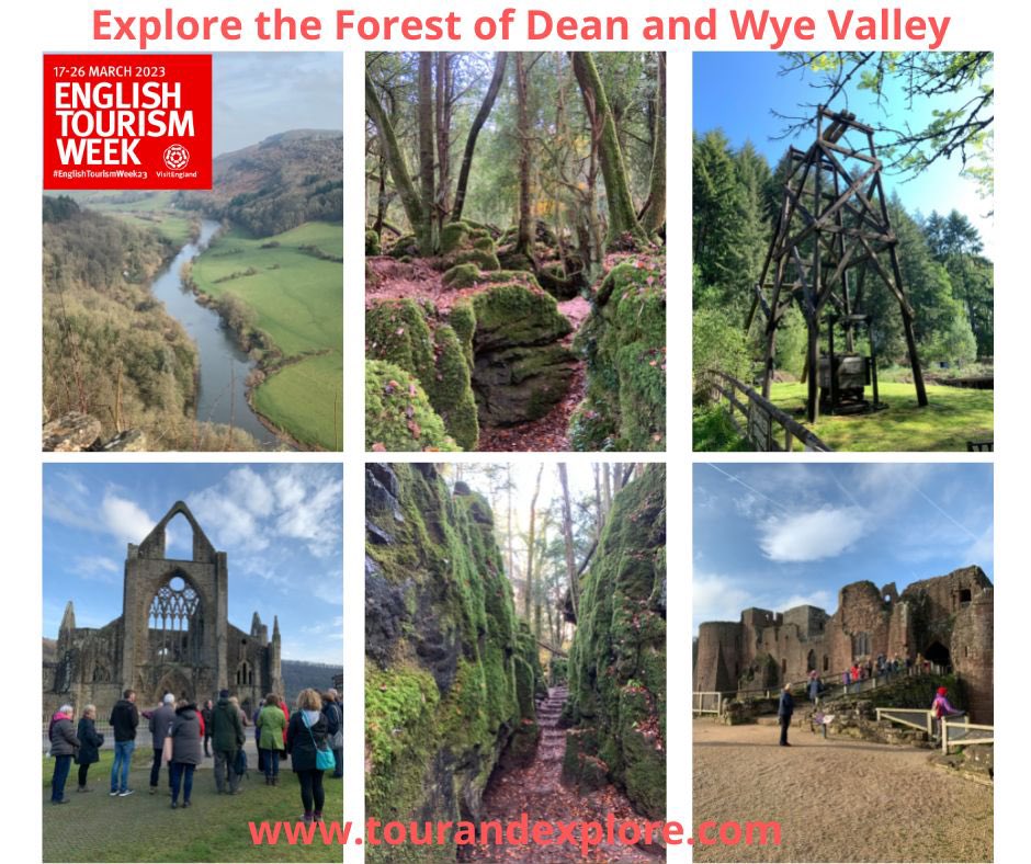 The magical Forest of Dean - one of the hidden gems of #Gloucestershire #englishtourismweek2023 #visitglosuk