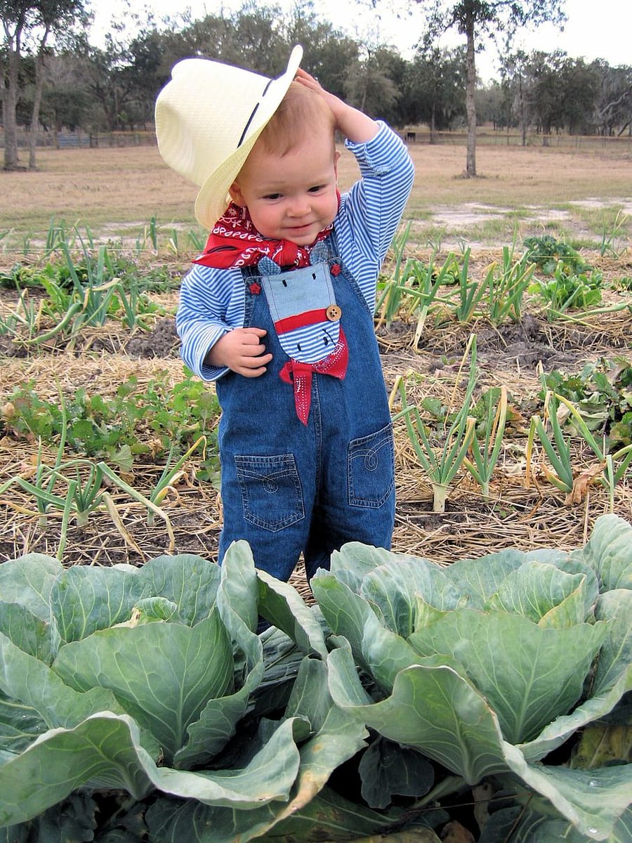 HopeWhite_5's tweet photo. Ideas to make young people want to #farm https://t.co/EQ1Htx74LM https://t.co/ARGt0uqGv0