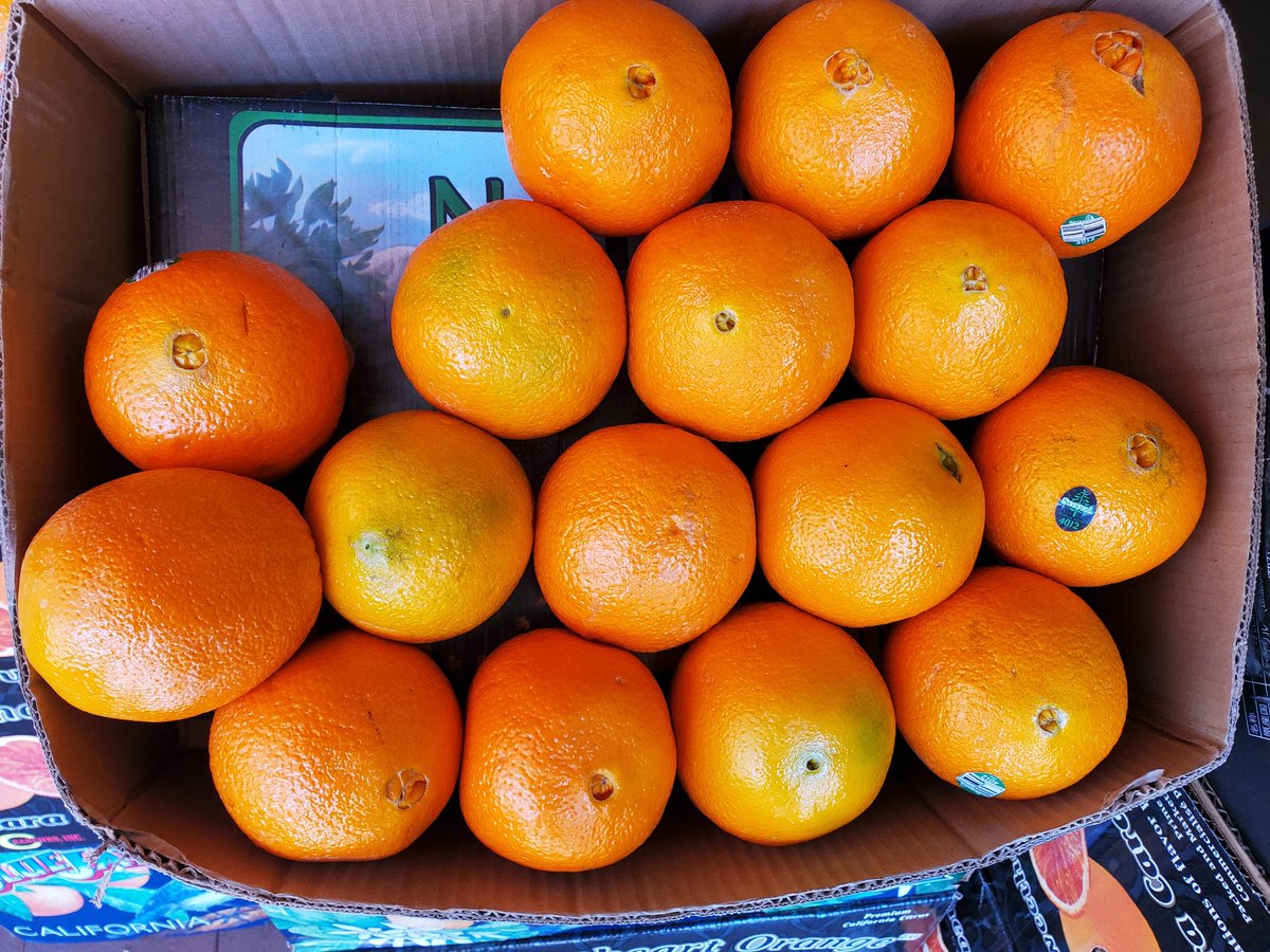 howie_hua's tweet image. How many oranges? How did you count?