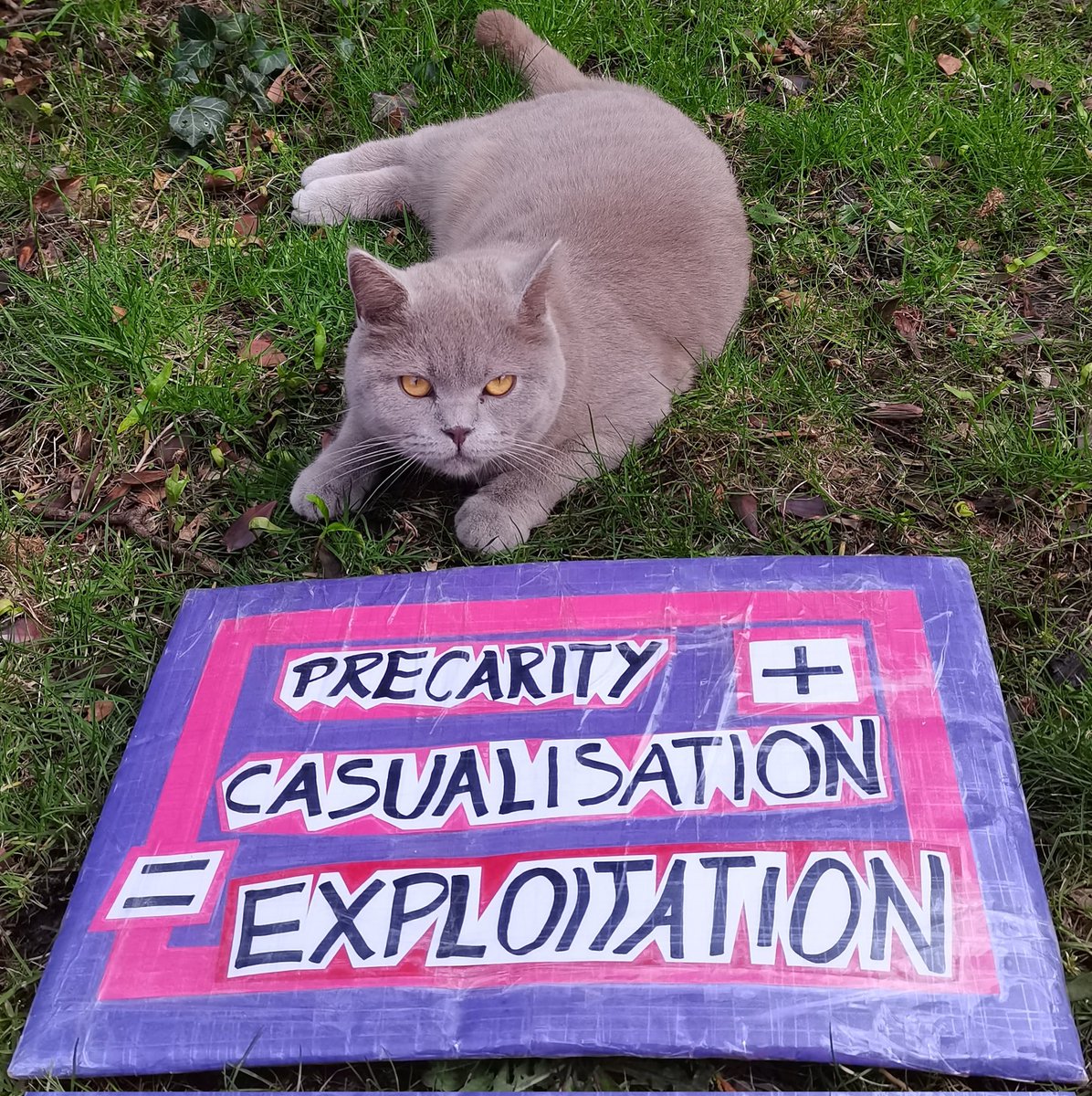 If you're in @ucu + haven't yet cast your vote in the reballot, please post it ASAP ahead of Friday's deadline.

Every vote really is critical at this stage; see kitty's expression.✊

@SwanseaUcu @UCUWales #ucurising #oneofusallofus #fightprecarity #fightinequality #fairworkload