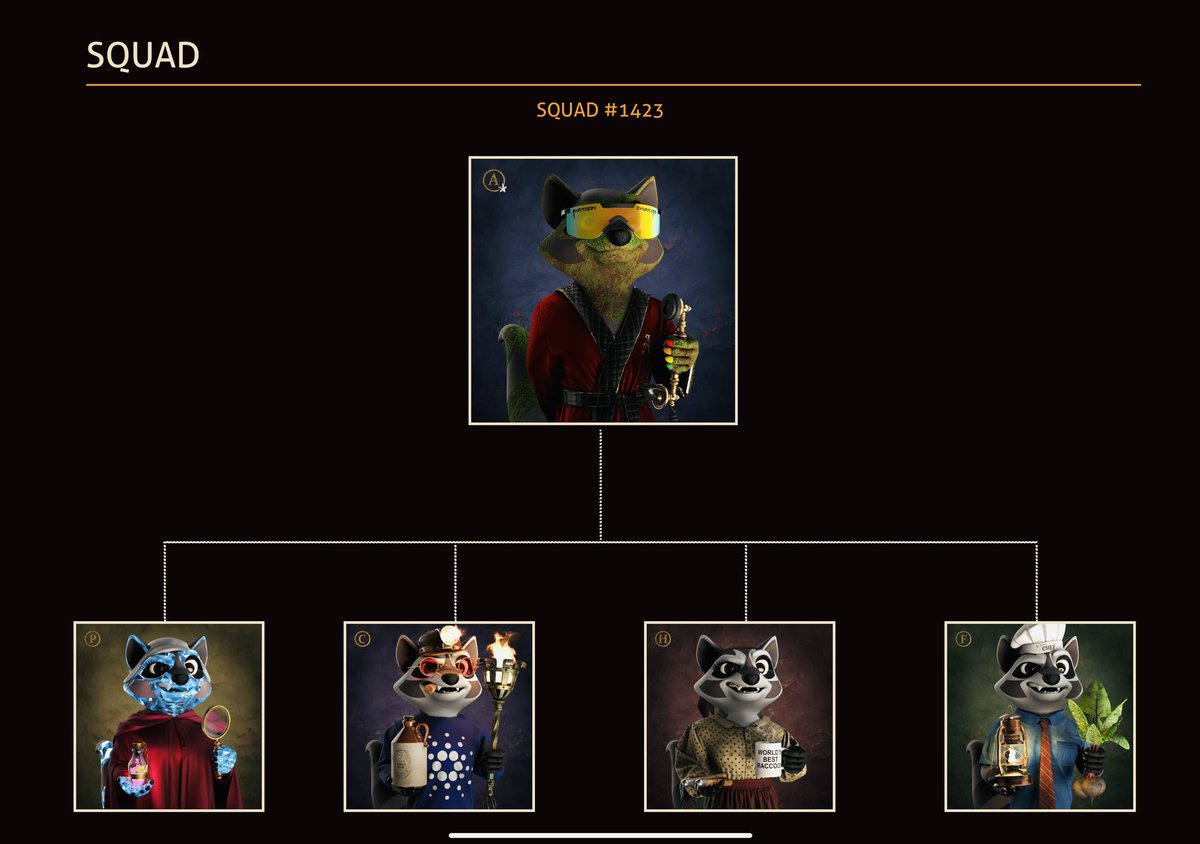 Raccoon Syndicate battle begins in 2 days🔥 Squads ready🫡Let’s hodle!!!#RaccoonSyndicat #CardanoEcoSystemNews #RaccoonSyndicate #Timmy #Kiama
