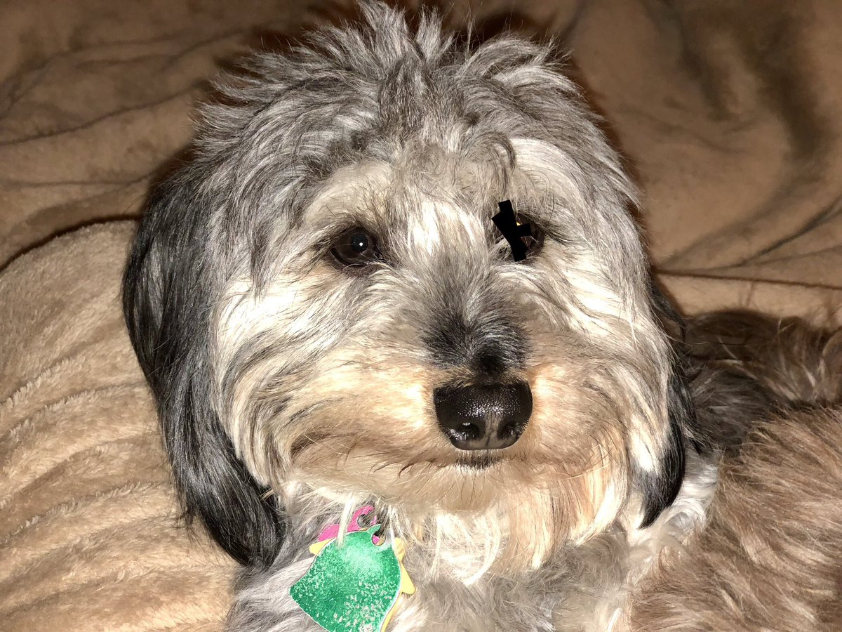 mary roberts tweet media