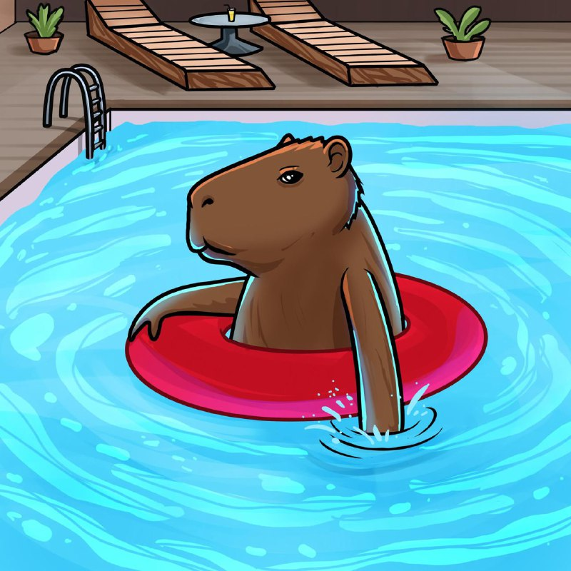 Capybaraz tweet media