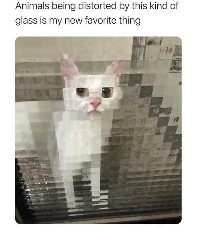 WholesomeMeme's tweet photo. https://t.co/kxTm7Pn3m6