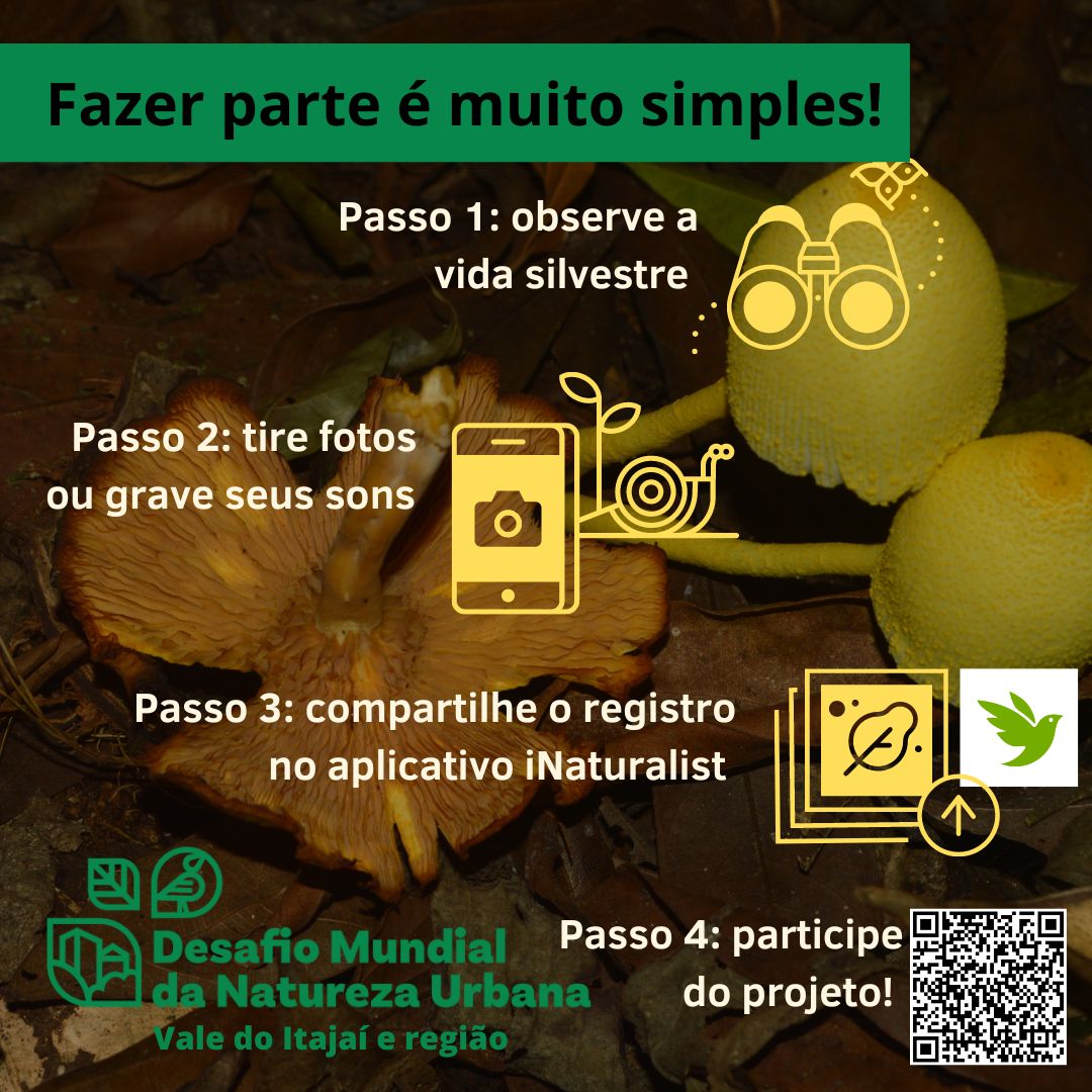 natuvaleitajai's tweet photo. Participar do Desafio da Natureza Urbana é muito simples!!!

É só baixar gratuitamente o aplicativo iNaturalist no seu celular e começar a tirar fotos com ele.

O evento, a maratona, acontecerá entre o 28 de abril ao 1 de maio de 2023; porém, é bom ir treinando! https://t.co/rVT4iy7h0d