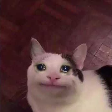_Captain_Cat_'s tweet photo. The subway worker was mean to me and now I don’t want to interact with people again https://t.co/TDWRizbQWj
