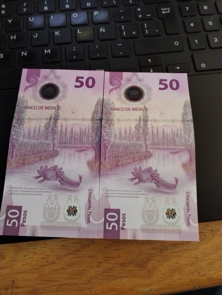 MexicoMagico's tweet photo. Los ajolopesos se pueden unir 🥰😳 https://t.co/FzegZ57rXv