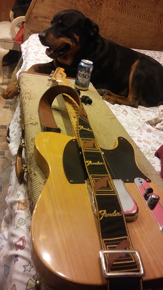 Axe_Heavenly's tweet photo. @DRMc31 My '52 Tele is all OME and has never needed to be re-adjusted... other than to change the Strings @DRMc31 @hughesplus @LoonieGuy Transparent Butterscotch Finish - check out the wood grain on this 70 y. o. #Duckpaddle #MuchLOVE from #CaliLAND https://t.co/Y9pm1sXYOJ