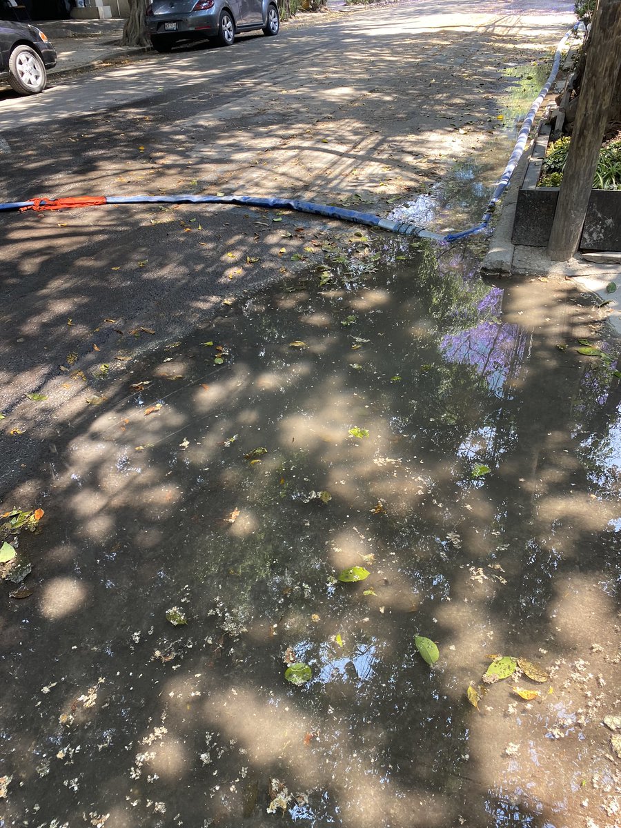 Estimada alcaldesa <a href="/SandraCuevas_/">Sandra Cuevas</a> , la constructora ilegal que tiene sellos de clausura en Río marne no. 11 lo logró! Ya rompió la coladera q arreglaron. Ojalá los sancionen por favor! @SacmexCDMX <a href="/SOBSECDMX/">Secretaría de Obras y Servicios CDMX</a> <a href="/PrensaCuevas/">Prensa Sandra Cuevas</a> <a href="/AbelFuentesRo/">Abel Fuentes Ro</a> <a href="/AlcCuauhtemocMx/">Alcaldía Cuauhtémoc</a> <a href="/PAOTmx/">PAOT</a> <a href="/lacuauhtemoc/">Colonia Cuauhtémoc</a>