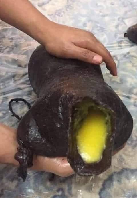 وش هذا 🤔