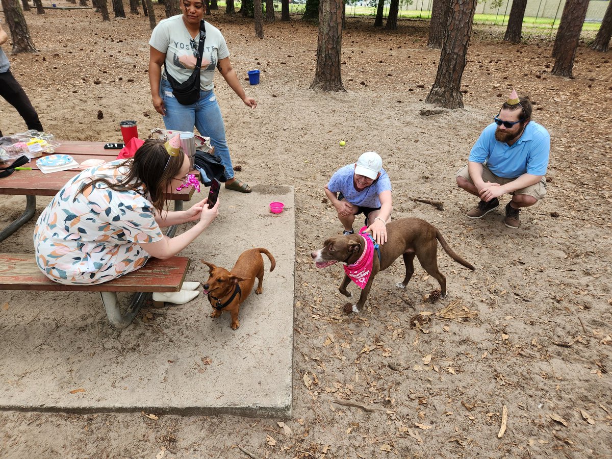 Mine fren <a href="/RachaelFlora/">Rachael Flora</a> threw AMAZE party for her dog BABY (fren wearing pinck bandanna!!)