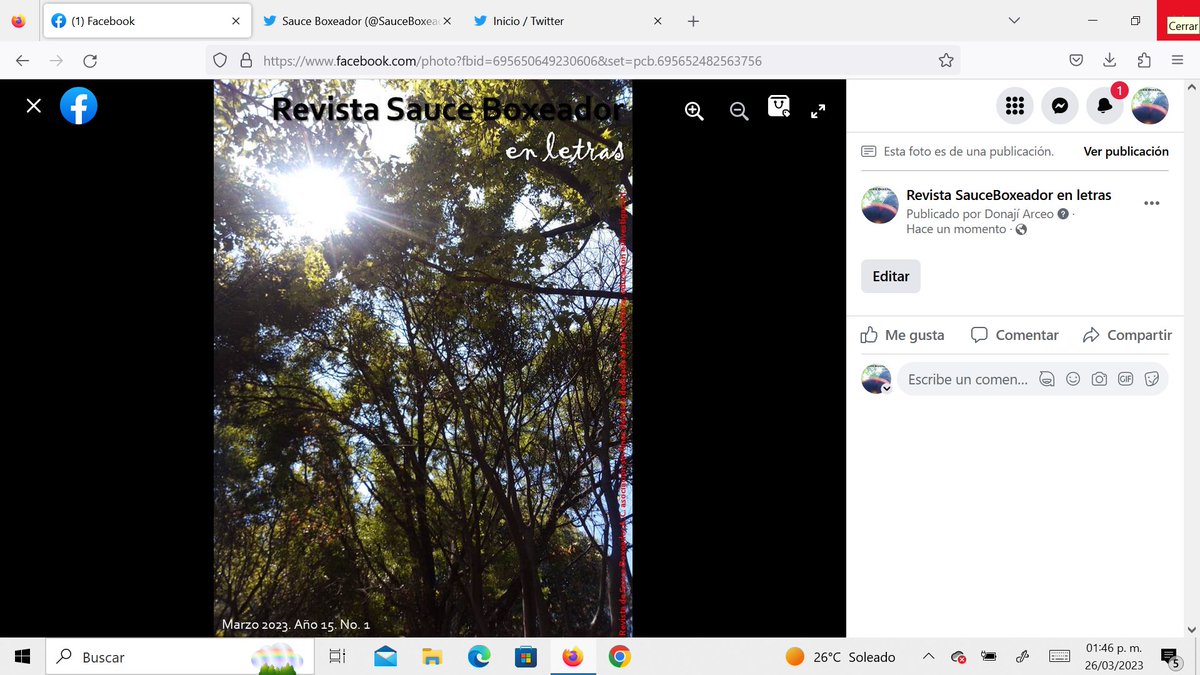 Sauce Boxeador tweet media