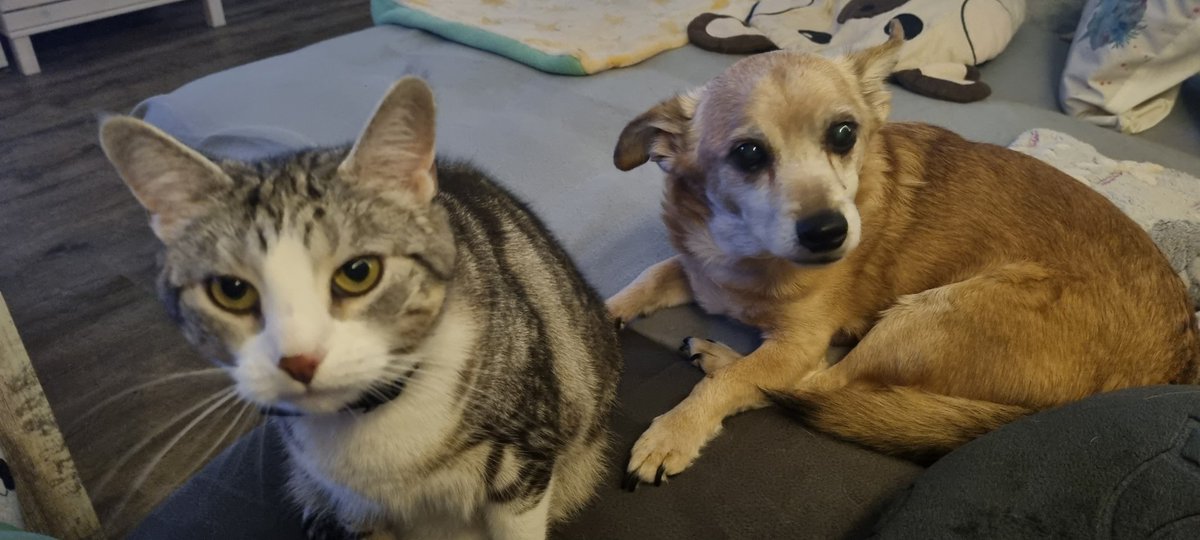 Oy schaut mal wie nah sie mir war😆😆