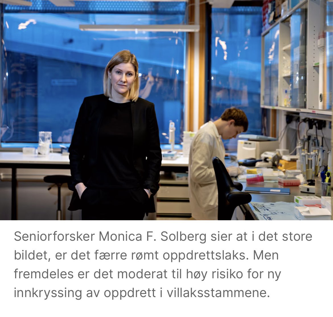 Les hovedsaken i helgens BT-magasinet om rømmingen av 35 000 oppdrettslaks i Sogn i høst, konsekvenser av rømt oppdrettslaks, og risiko for ny innkryssing i ville laksebestander: 

bt.no/btmagasinet/i/…